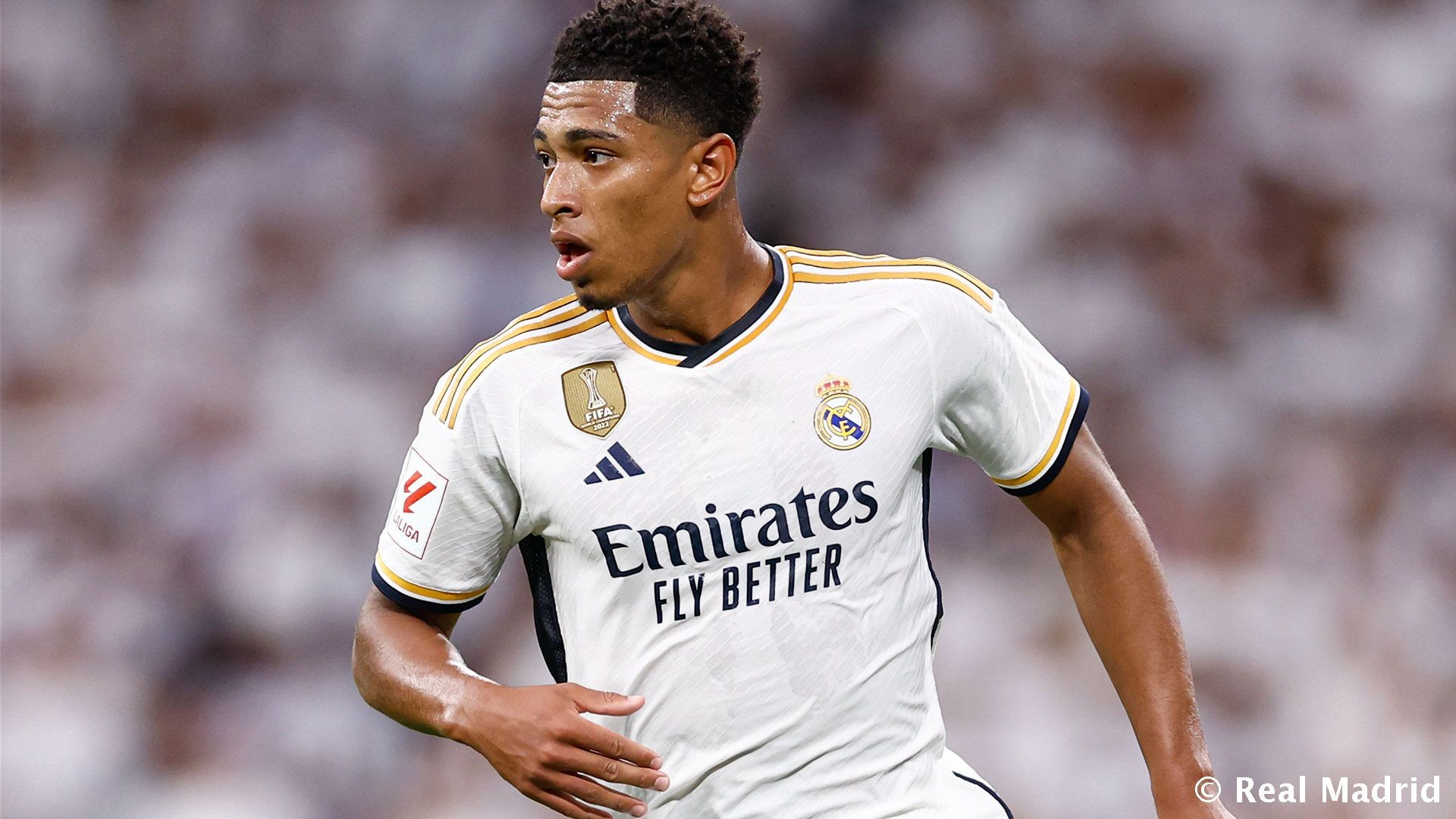 联赛波动期 联赛波动期